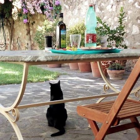 Home Garden Grosseto Bagian luar foto
